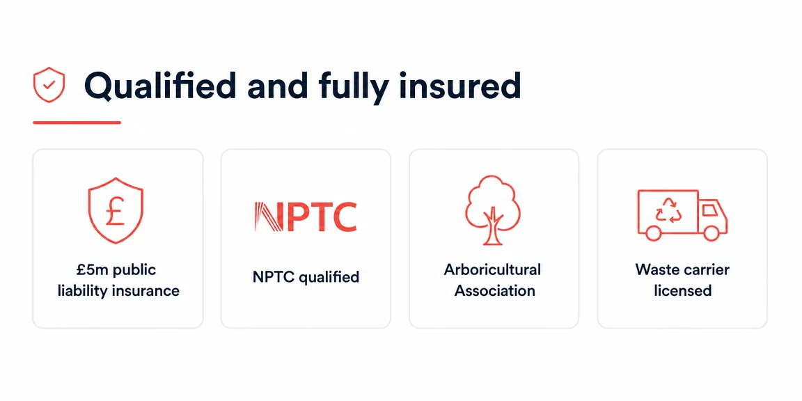 Example tree surgeons website section: insurance and qualifications highlighted
